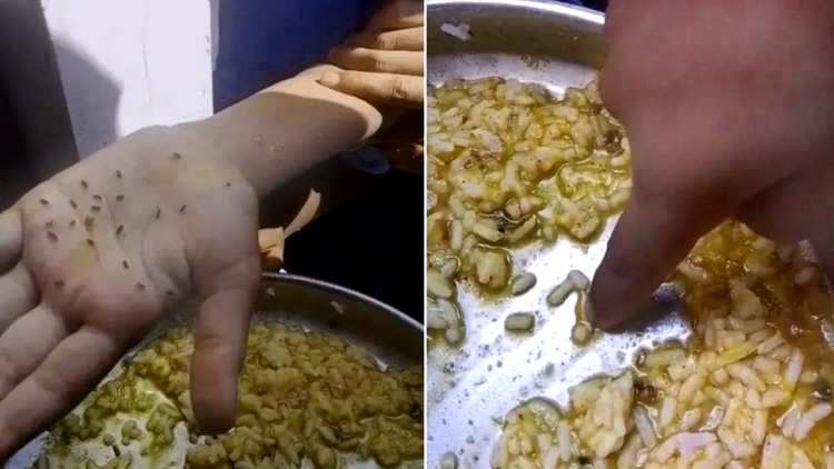 मिड-डे मील के खाने में इतने कीड़े