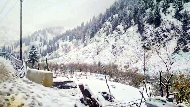 कश्मीर में पारा 0°, राजस्थान के सीकर में 2.1° : अमृतसर-जालंधर में विजिबिलिटी जीरो;