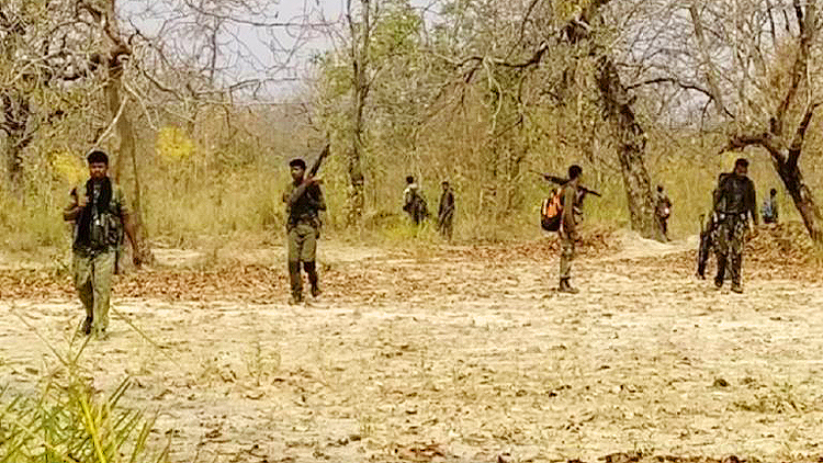झारखंड के सारंडा जंगल में आज फिर गूंजी बंदूकें, एनकाउंटर में मारी गई महिला नक्सली, अब तक 16 मौतें