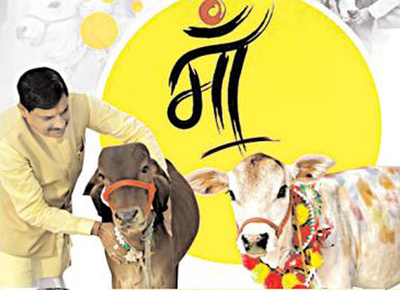 बढ़ेगी गौ पालकों की आय