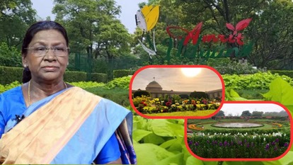 आम लोगों के लिए खुलेगा राष्ट्रपति भवन का अमृत उद्यान : तीन फरवरी को राष्ट्रपति मुर्मु करेंगी उद्घाटन