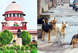 सुप्रीम कोर्ट ने कहा- कुत्तों के काटने पर देना होगा भारी मुआवजा, डॉग लवर्स की जिम्मेदारी होगी तय