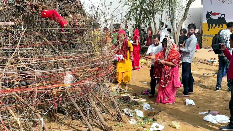 1, 3 या 7, कितनी बार करें