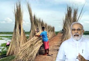 किसानों को केंद्र सरकार ने दी बड़ी सौगात, जूट का एमएसपी बढ़ाया