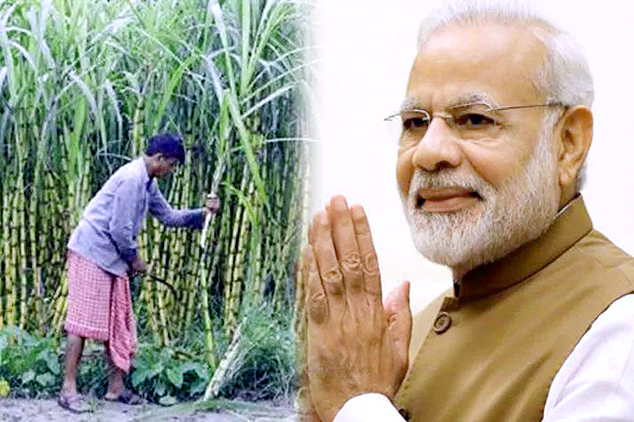 किसानों के लिए खुशखबरी खाद्य मंत्रालय ने की घोषणा : मोदी सरकार ने खोला गेहूं और चीनी के निर्यात का रास्ता