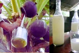 जहरीली ताड़ी