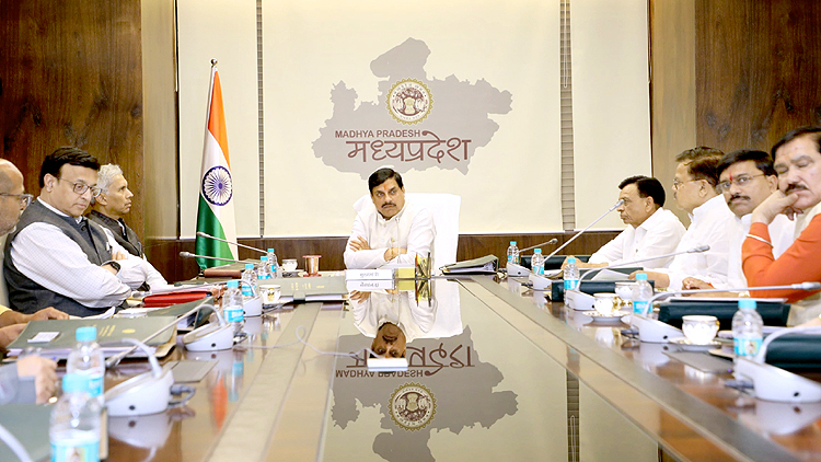 मोहन कैबिनेट