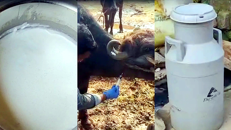 मिलावटी दूध