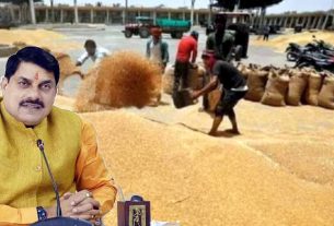 गेहूं खरीद