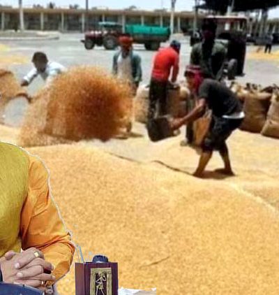 गेहूं खरीद