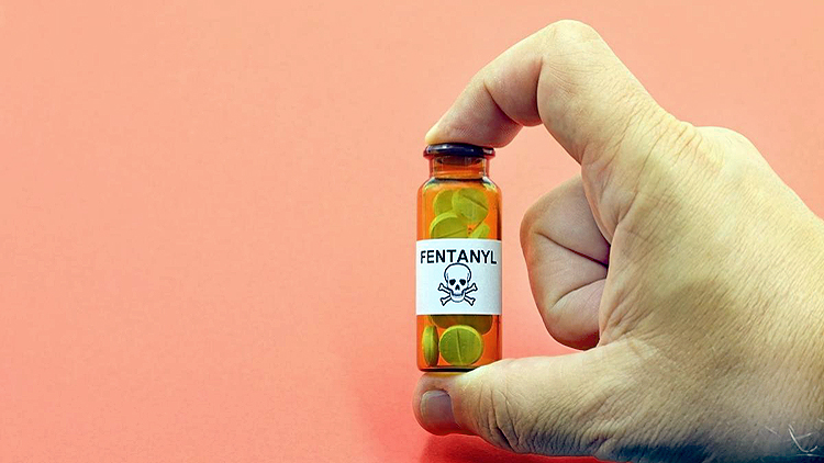 Indian Pharma