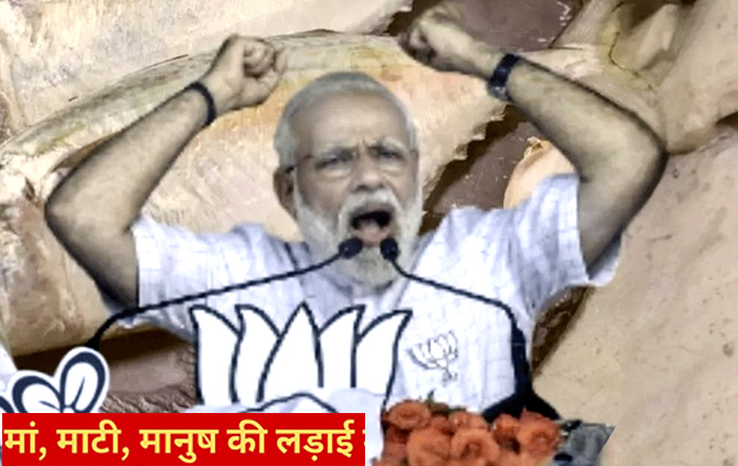 भाजपा का परचम