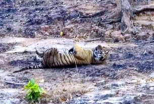 Kanha Tiger Reserve
