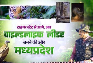 मुख्यमंत्री डॉ. मोहन यादव