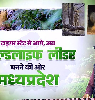 मुख्यमंत्री डॉ. मोहन यादव