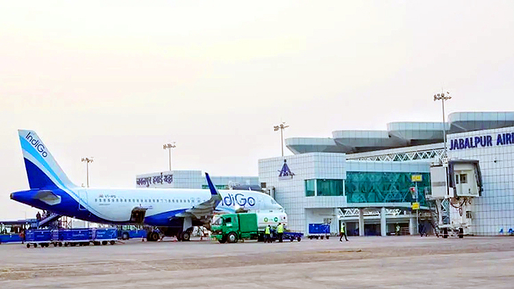 Indigo Flight News