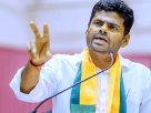 K Annamalai