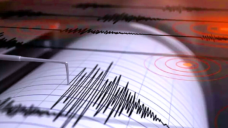 MP Earthquake News