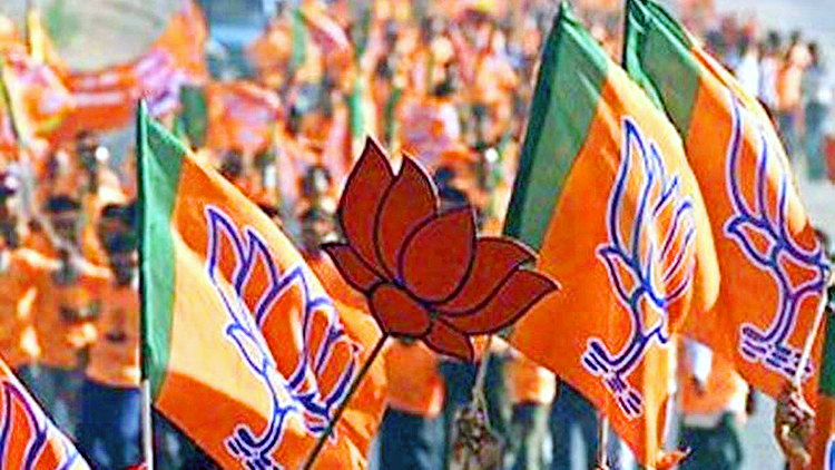 MP BJP New Team