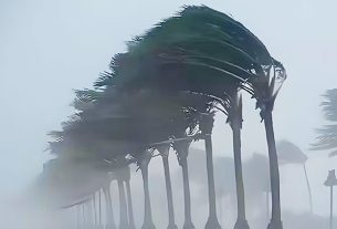 Monsoon Update