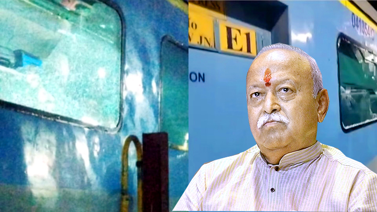 Train Stone Pelting