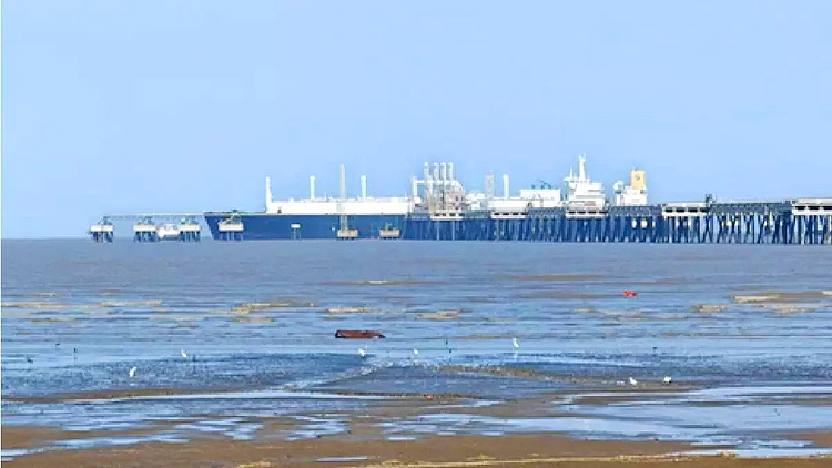 India LNG Supply