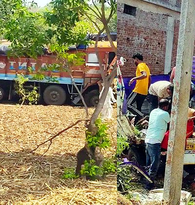MP Road Accident