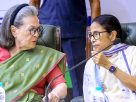 TMC Congress Merger