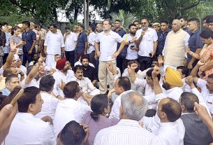 Rahul Delhi Protest