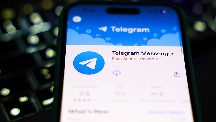 Telegram piracy