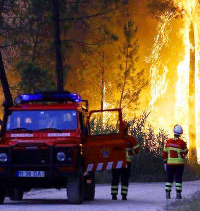 Europe Wildfire