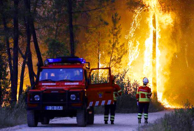 Europe Wildfire