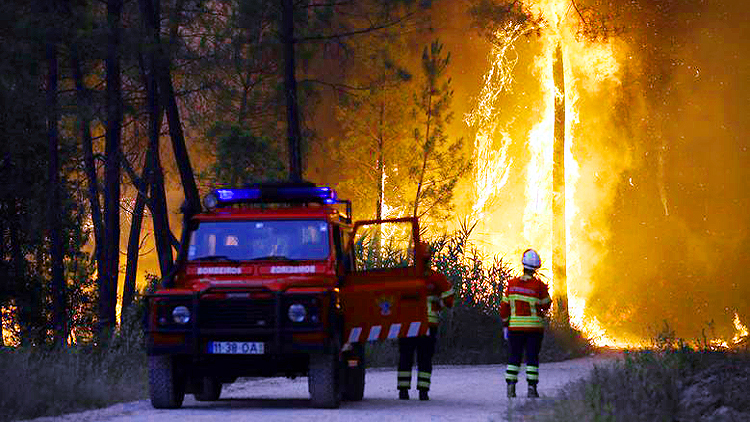 Europe Wildfire