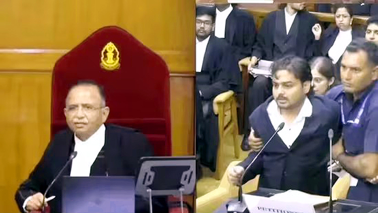 Supreme Court Lawyer Drama