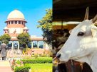 Cow Slaughter Ban