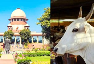 Cow Slaughter Ban