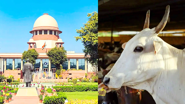 Cow Slaughter Ban