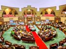 MP Assembly