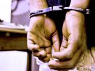 Terror Plot Busted