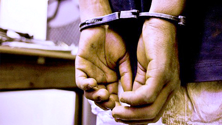 Terror Plot Busted
